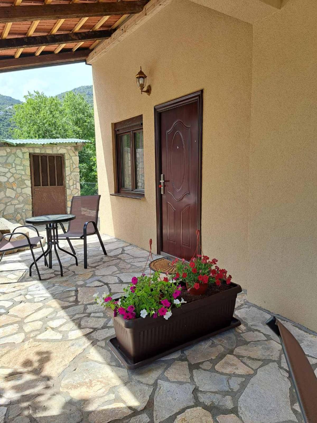 Appartement Aria à Cetinje Extérieur photo