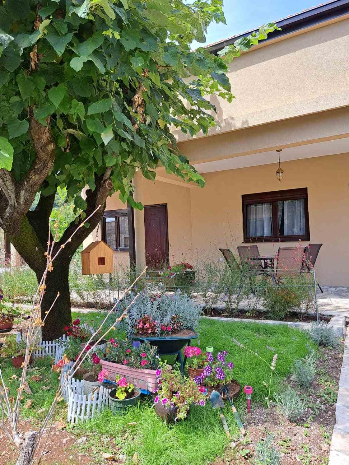 Appartement Aria à Cetinje Extérieur photo